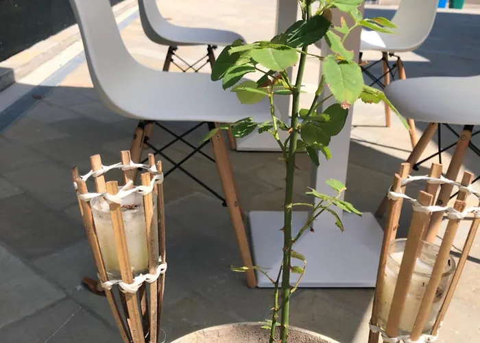 R&b Midora Montale Vendégház