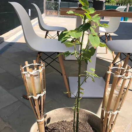 R&b Midora Montale بيت ضيافة