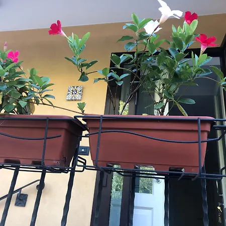 Guest house R&b Midora Montale Montale (Emilia-Romagna)
